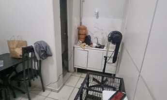 Imagem 7: Loja montada Pet Shop