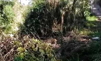 Imagem 5: Lote em condomínio em Alameda das Glicínias - Pirucaia - Mairiporã/SP