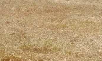 Imagem 7: Terreno com água no fundo