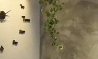 Imagem 4: OPORTUNIDADE: APARTAMENTO PALHOÇA, SEMI-MOBILIADO COM LAZER DE CLUBE - 10 MIN DE FLORIPA