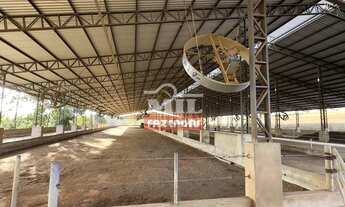 Imagem 6: Sitio 14 Alqueires (67,76 Hectares) Orizona - GO