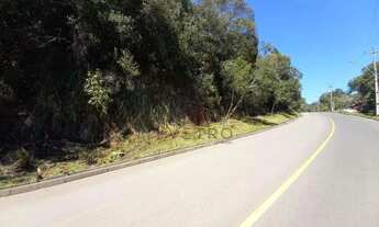 Imagem: Terreno no bairro Alpes Verdes em Canela!