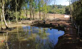 Imagem 2: Linda Chácara á Com 36.000 m² em Mandirituba - PR