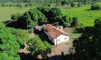 Imagem 5: FAZENDA DE 52 HEC DE PORTEIRA FECHADA A 10 KM DE BURITIS - MG