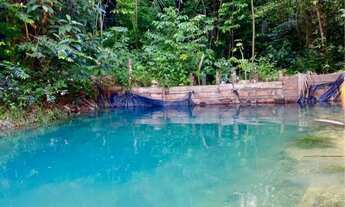 Imagem 3: SÍTIO 250X1000 (25 HECTARES) CASA COM 2 PISCINAS, IGARAPÉ COM NASCENTE, POÇO ARTESIANO