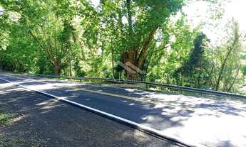 Imagem 2: Área de terras com duas frentes à venda para a BR 116 em Picada Café na Serra Gaúcha