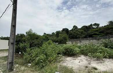 Imagem 5: TERRENO NO COND. MOSAICO PONTA NEGRA LOTE 10X25 QUITADO