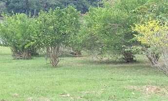 Imagem 3: Sitio em balbina