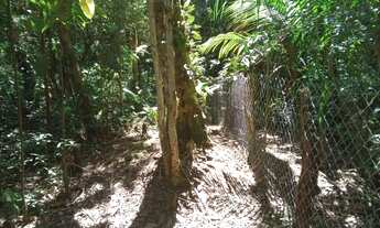 Imagem 7: Terreno com ribeirao 65 mil reais