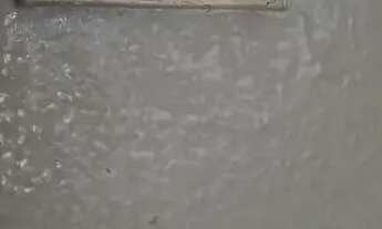 Imagem 3: Apartamento 02 quartos para alugar - Setor Leste Vila Nova