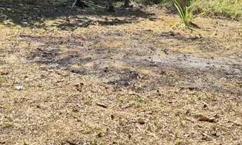 Imagem 2: Terreno no Açutuba