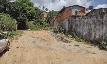 Imagem 6: Terreno em São Miguel dos Milagres, 11x30 na principal, quase em frente a CISP (polícia)!