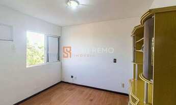 Imagem 2: Saco dos Limões