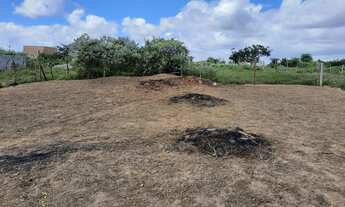 Imagem 7: 02 lotes em São José - Fazenda Ovo da Ema