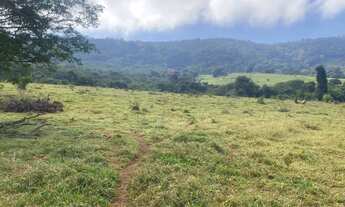 Imagem 3: FAZENDA 7 ALQUEIRES - HEITORAÍ - GO