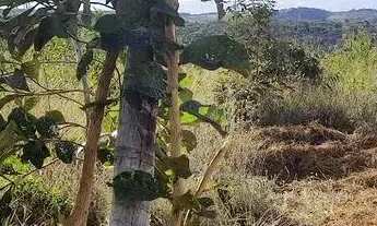 Imagem 6: Imóvel para venda com 1000 metros quadrados em São José do Almeida - Jaboticatubas - MG