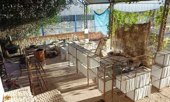 Imagem 2: Galpão em Palmas. Área industrial de Taquaralto