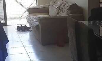 Imagem 4: Apartamento na Cruz das Almas, exelente com 2 quartos