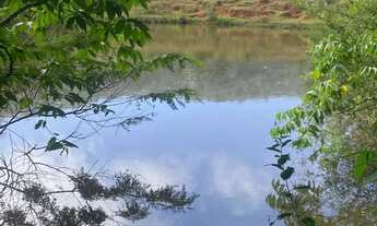 Imagem 4: FAZENDA 7 ALQUEIRES - HEITORAÍ - GO