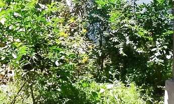 Imagem 7: Casa para morar ou fins comerciais / por temporada