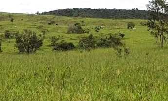 Imagem 3: VENDO 4 ALQUEIRES RURAL