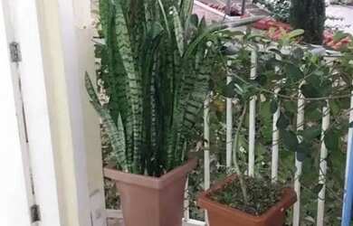 Imagem 3: CASA DE VILA - JARDIM ESTER - SP