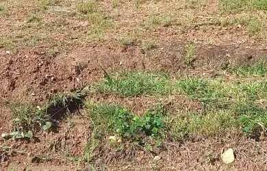 Imagem 4: Vende-se lote um ágio de um lote no Setor Lago Sul - Caldas Novas - GO