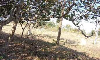 Imagem 7: Sítio de 30 hectares no assentamento comunidade sadia 3