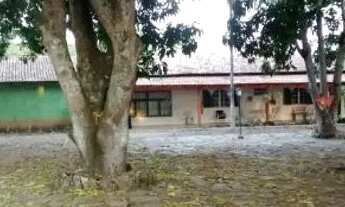 Imagem 3: Vendo chácara 4 hectares