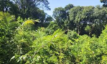 Imagem 5: Lotes à venda no Balneário Ponta da Fruta - Interlagos 2, investimento, parcelo, troco lea