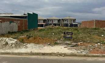 Imagem 5: Lote no bairro Vida Nova