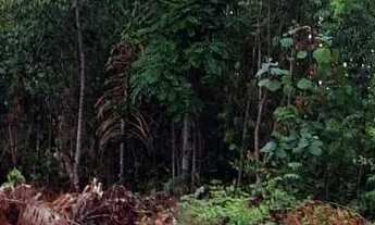 Imagem: Terreno a Venda na Estrada da Vila Paricatuba