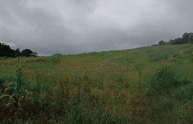 Imagem 2: Lote à Venda em Ibiúna com Excelente Localização