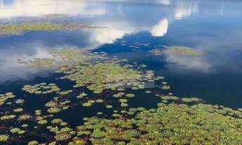 Imagem 2: CHÁCARA 15 HECTARES COMPLETA À BEIRA DO LAGO