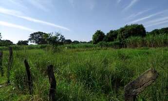 Imagem 7: Vendo Chácara em frente ao Bairro de Fátima com 35 mil metros - Escriturada