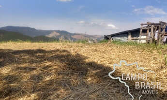 Imagem 7: Campo Brasil Imóveis, realizando seu sonho rural! Sítio de 11 aq em Monteiro Liobato