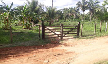 Imagem 2: Vendo chacara a 16 km de imperatriz otimo para lazer e descanso.!