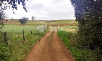 Imagem 3: CHÁCARA MOLHADA DE 04 ALQUEIRES, COM CASA, À VENDA NA GLEBA ITACOLOMI EM CAMBIRA - PR