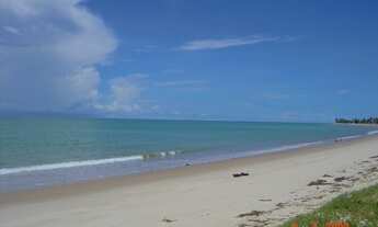 Imagem 5: Terreno Beira Mar Praia de Pitimbu PB