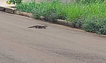 Imagem 4: Terreno em ville de France 396m2