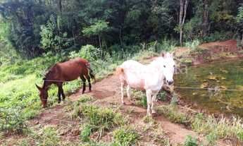 Imagem 5: CHÁCARA MOLHADA DE 04 ALQUEIRES, COM CASA, À VENDA NA GLEBA ITACOLOMI EM CAMBIRA - PR