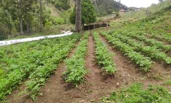 Imagem 4: Excelente Chácara no Alto da Mantiqueira, 5.000m² Delfim Moreira/MG