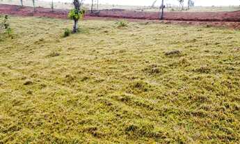 Imagem 4: Venha garantir o seu terreno com excelente vista