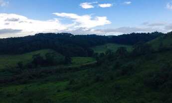 Imagem 5: Vendo agora esses terrenos em Santa Isabel!