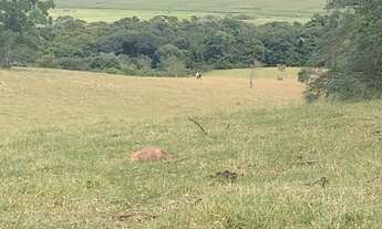 Imagem 5: Sítio Á Venda Região De Itapetininga 4 Alqueires