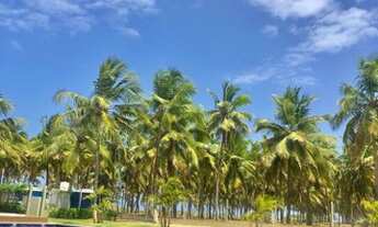 Imagem 4: Lote no Maikai Terreno / lote com venda por R$359.000