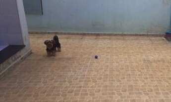 Imagem 2: Imóvel em Samambaia Sul