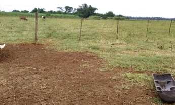 Imagem 3: Terreno(sítio) em Bariri