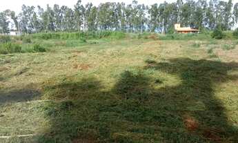 Imagem 3: Lote/Terreno possui 70 metros quadrados em Santo Antônio - Garanhuns - PE