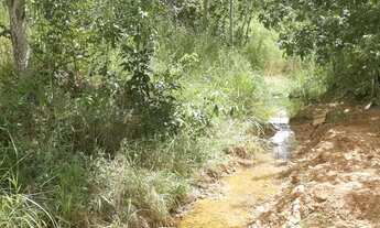 Imagem: Terreno em São José de Almeida